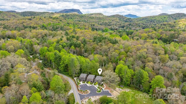 1085 Hicks Rd Unit A, Highlands, NC 28741 - photo 42