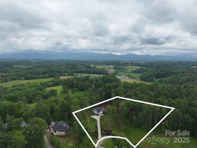 99 Timber Ridge Cir, Leicester, NC 28748 - photo 40