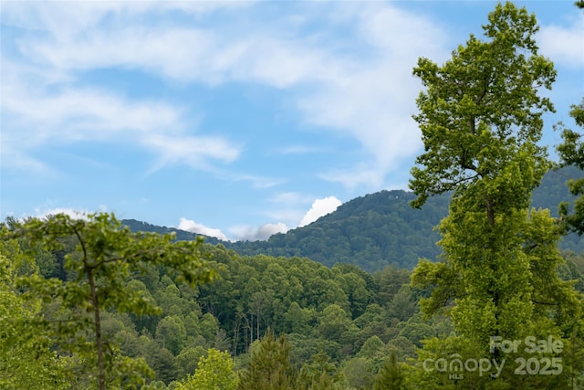 99 Timber Ridge Cir, Leicester, NC 28748 - photo 42