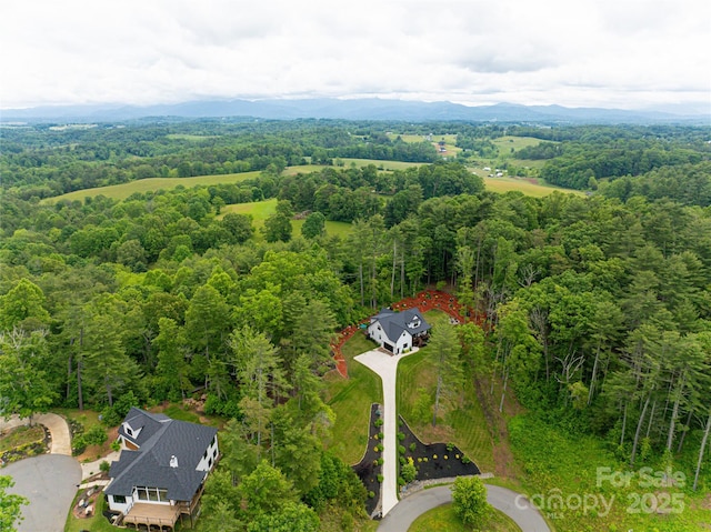 99 Timber Ridge Cir, Leicester, NC 28748 - photo 44