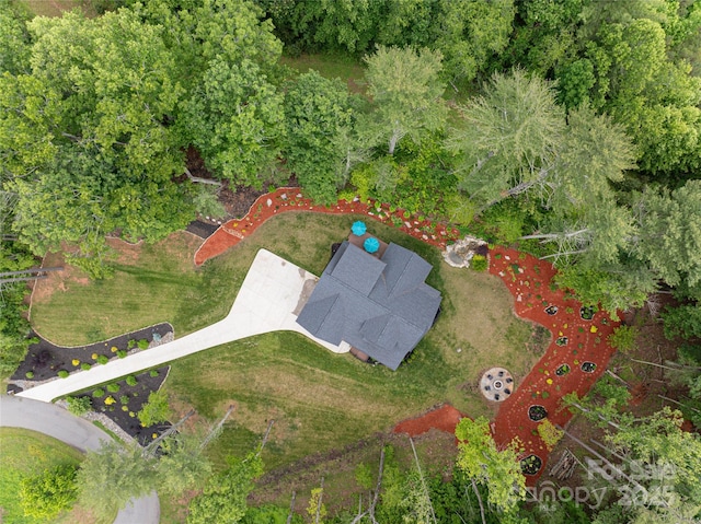 99 Timber Ridge Cir, Leicester, NC 28748 - photo 45
