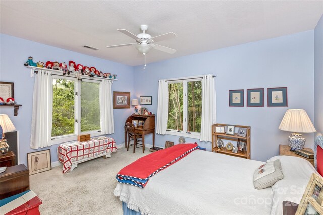 25 Windsong Dr, Fairview, NC 28730 - bedroom with multiple windows, carpet, ceiling fan, and baseboards