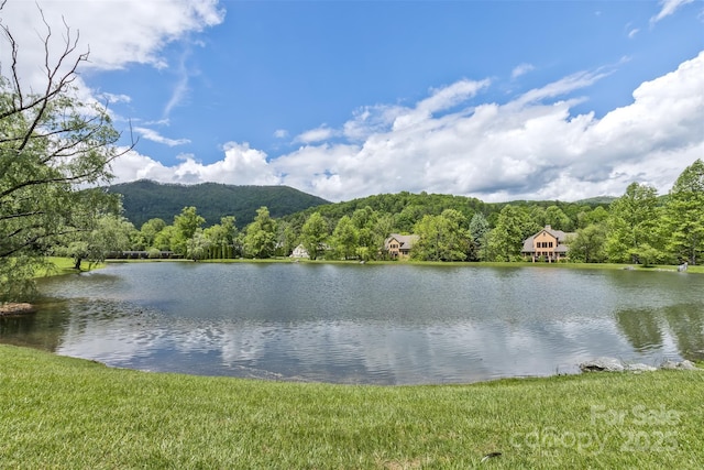 25 Windsong Dr, Fairview, NC 28730 - water view featuring a forest
