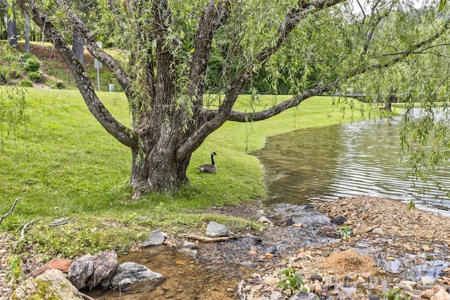 25 Windsong Dr, Fairview, NC 28730 - water view