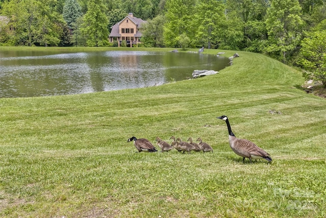 25 Windsong Dr, Fairview, NC 28730 - water view featuring a heavily wooded area