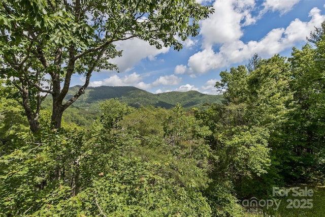 25 Windsong Dr, Fairview, NC 28730 - view of mountain backdrop featuring a heavily wooded area