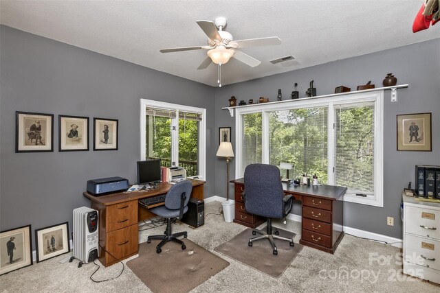 25 Windsong Dr, Fairview, NC 28730 - carpeted home office featuring ceiling fan, baseboards, and a textured ceiling