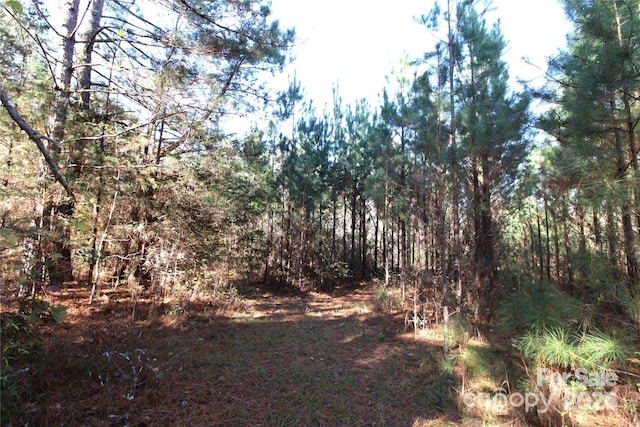 N/A Hartness Rd Unit 4, Clover, SC 29710