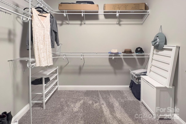 1327 Springlake Rd, York, SC 29745 - walk in closet with carpet