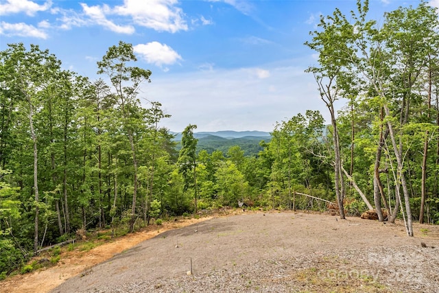 552 High Trail Dr, Nebo, NC 28761 - view of mountain background featuring a forest