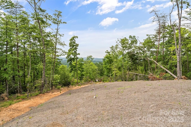 552 High Trail Dr, Nebo, NC 28761 - view of yard with a forest view