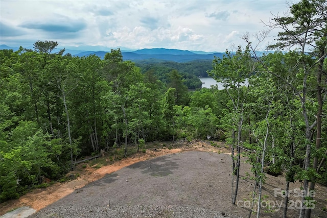 552 High Trail Dr, Nebo, NC 28761 - view of mountain background with a heavily wooded area