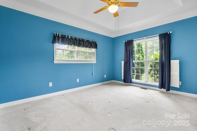5362 Beacon Ridge Dr, Granite Falls, NC 28630 - carpeted spare room featuring plenty of natural light, baseboards, ceiling fan, and a raised ceiling