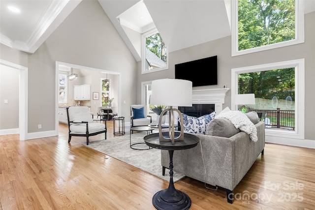 9219 Whispering Wind Dr, Charlotte, NC 28277 - living room with high vaulted ceiling, a fireplace, plenty of natural light, light wood-style flooring, and crown molding