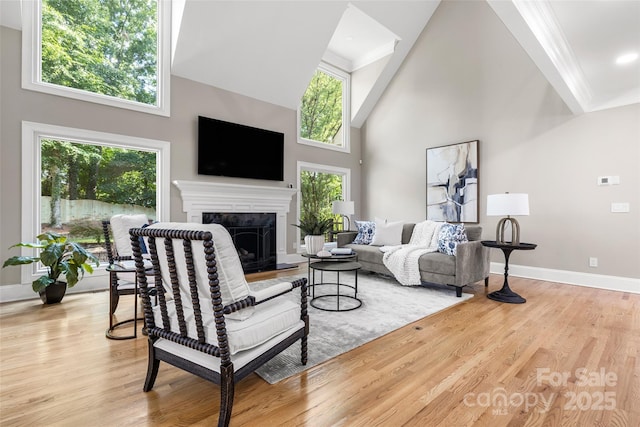 9219 Whispering Wind Dr, Charlotte, NC 28277 - living room with high vaulted ceiling, wood finished floors, baseboards, a high end fireplace, and crown molding