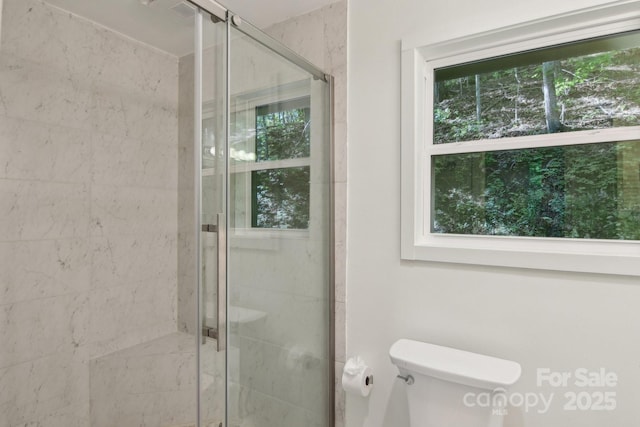291 Dills Rd, Bryson City, NC 28713 - full bathroom featuring toilet and a stall shower