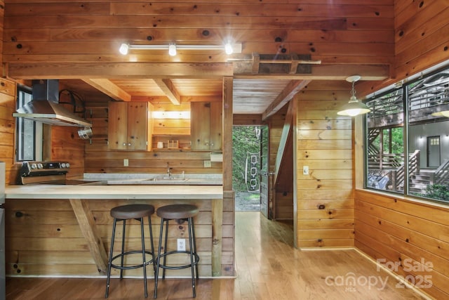 291 Dills Rd, Bryson City, NC 28713 - kitchen featuring wall chimney range hood, wood walls, stainless steel range with electric cooktop, hardwood / wood-style floors, and wooden ceiling with exposed beams