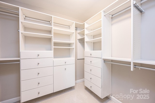 2728 Touchstone Cir, Newton, NC 28658 - view of walk in closet