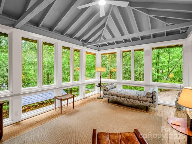 185 Greenstoke Loop, Tryon, NC 28782 - sunroom / solarium with wood finished floors