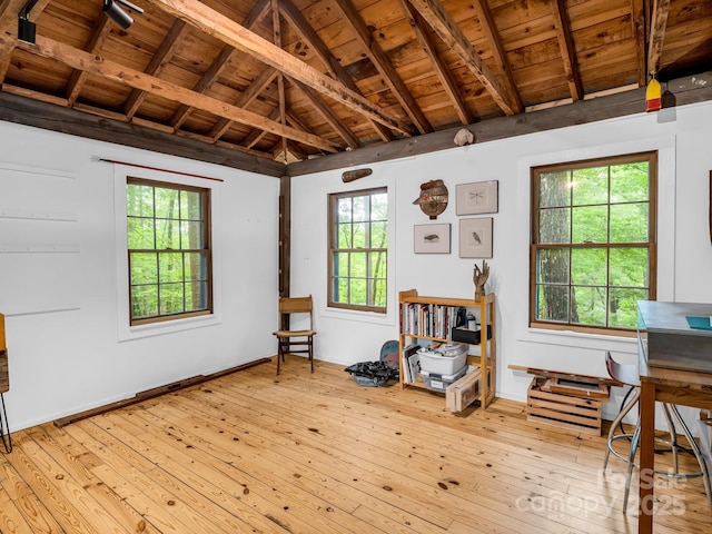 185 Greenstoke Loop, Tryon, NC 28782 - misc room with wood ceiling, light wood-type flooring, and healthy amount of natural light