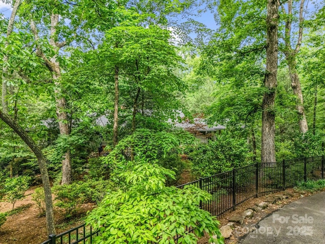 185 Greenstoke Loop, Tryon, NC 28782 - view of yard