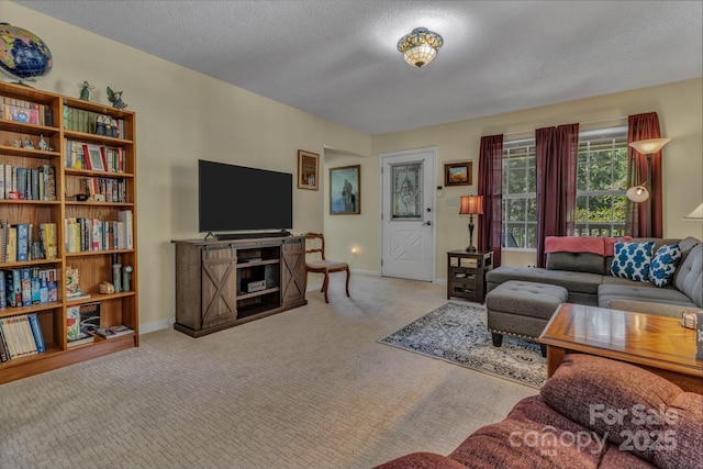 619 Beaverdam Rd, Asheville, NC 28804 - living room with carpet flooring, baseboards, and a textured ceiling