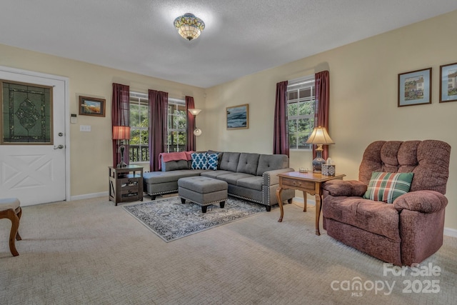 619 Beaverdam Rd, Asheville, NC 28804 - living area featuring carpet and baseboards