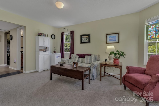 619 Beaverdam Rd, Asheville, NC 28804 - living room featuring light colored carpet and baseboards