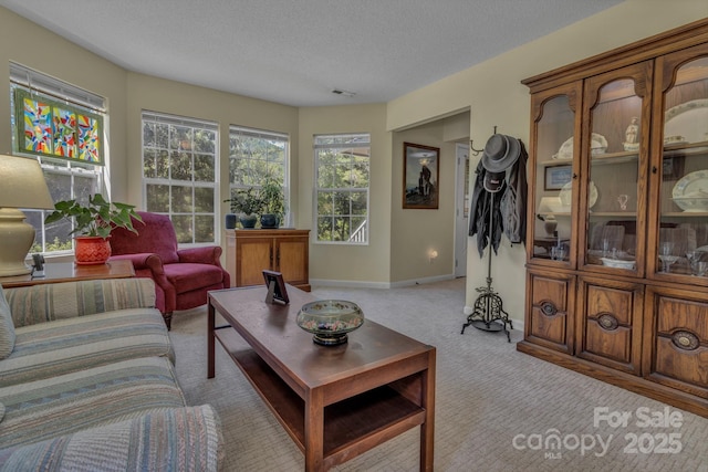 619 Beaverdam Rd, Asheville, NC 28804 - living room featuring light colored carpet, a textured ceiling, and baseboards