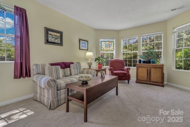 619 Beaverdam Rd, Asheville, NC 28804 - living room with light carpet, baseboards, and a textured ceiling