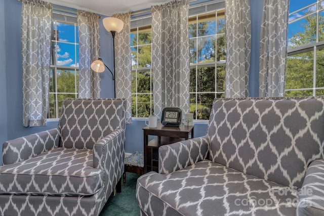 619 Beaverdam Rd, Asheville, NC 28804 - sitting room with carpet flooring