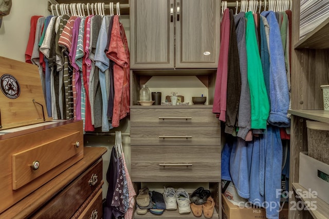 619 Beaverdam Rd, Asheville, NC 28804 - view of spacious closet