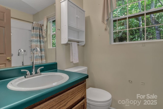 619 Beaverdam Rd, Asheville, NC 28804 - bathroom with toilet and vanity