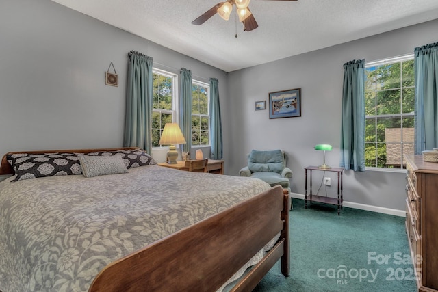 619 Beaverdam Rd, Asheville, NC 28804 - bedroom featuring carpet floors, multiple windows, baseboards, ceiling fan, and a textured ceiling