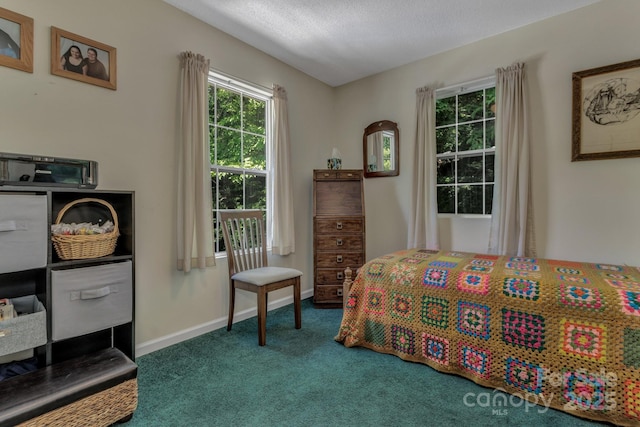 619 Beaverdam Rd, Asheville, NC 28804 - bedroom with carpet, baseboards, and a textured ceiling