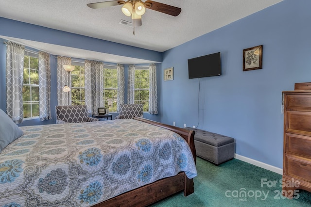 619 Beaverdam Rd, Asheville, NC 28804 - photo 27