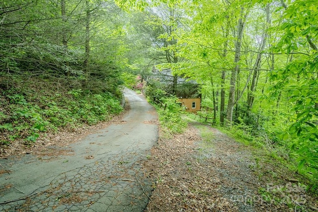 680 Timberlane Dr, Boone, NC 28607 - view of street with a view of trees