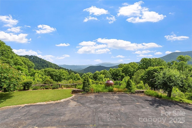 891 Moonshine Mountain Rd, Burnsville, NC 28714 - photo 3