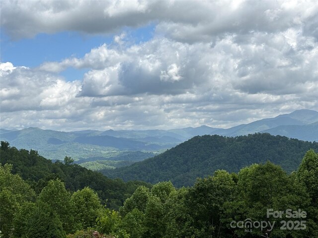 891 Moonshine Mountain Rd, Burnsville, NC 28714 - photo 7