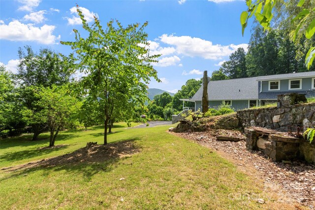 891 Moonshine Mountain Rd, Burnsville, NC 28714 - photo 11