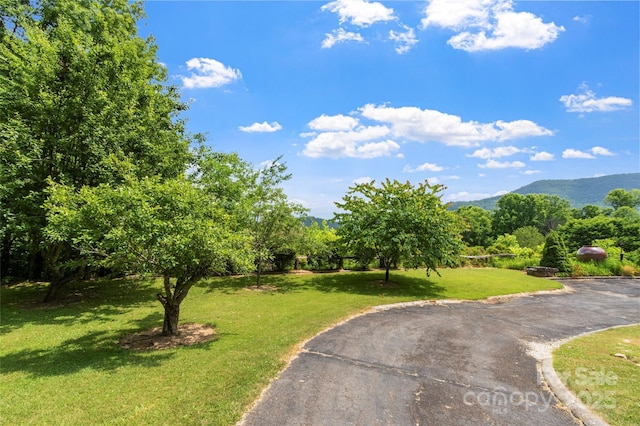 891 Moonshine Mountain Rd, Burnsville, NC 28714 - photo 12