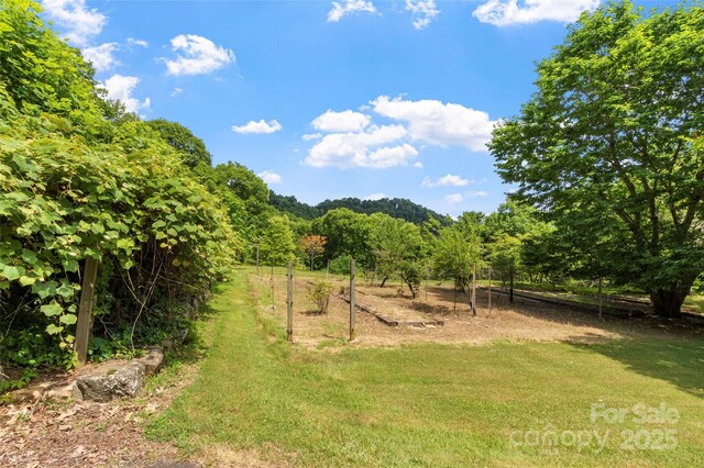 891 Moonshine Mountain Rd, Burnsville, NC 28714 - photo 13