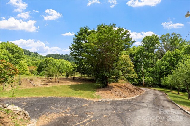 891 Moonshine Mountain Rd, Burnsville, NC 28714 - photo 14