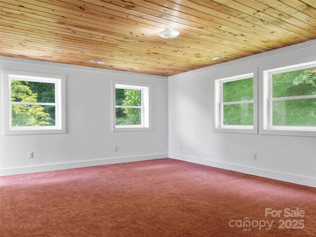 891 Moonshine Mountain Rd, Burnsville, NC 28714 - photo 30