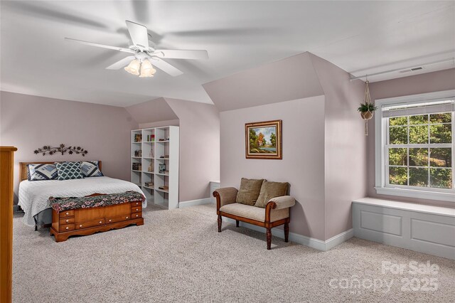 733 Hidden Hills Dr, Rutherfordton, NC 28139 - photo 25