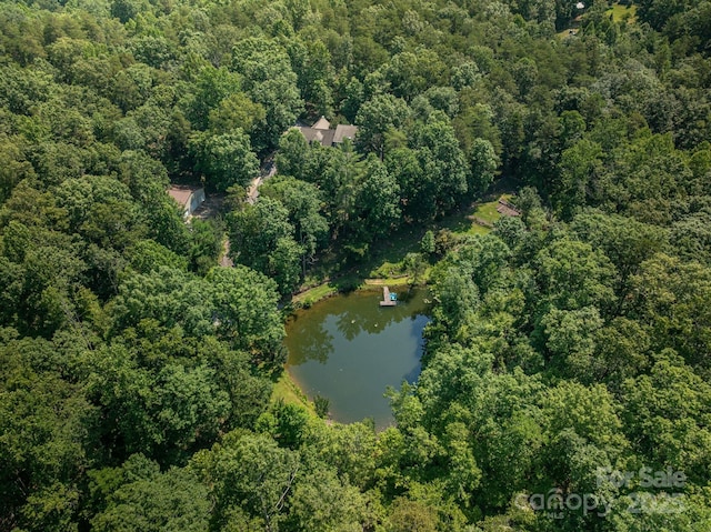 733 Hidden Hills Dr, Rutherfordton, NC 28139 - photo 47
