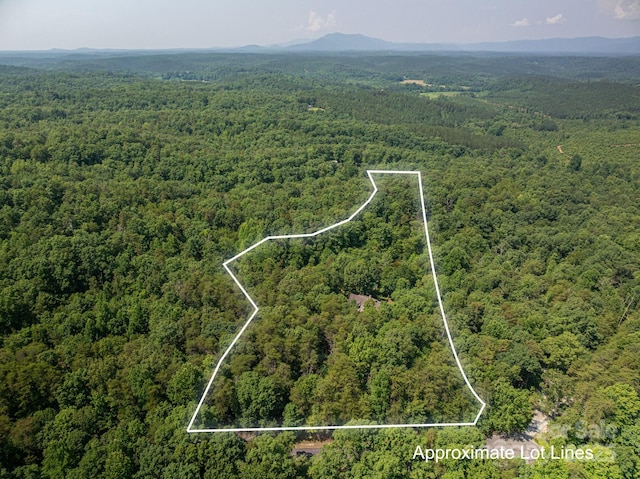 733 Hidden Hills Dr, Rutherfordton, NC 28139 - photo 48