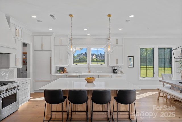 1405 Waxhaw Marvin Rd, Waxhaw, NC 28173 - kitchen featuring high end stainless steel range, a sink, light countertops, tasteful backsplash, and recessed lighting