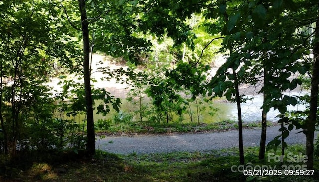 33 Horse Cove Rd, Canton, NC 28716 - water view