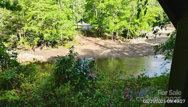 33 Horse Cove Rd, Canton, NC 28716 - water view